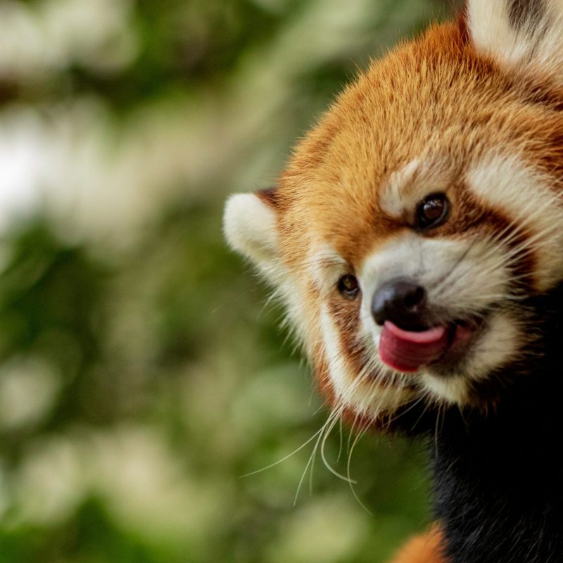 michael-payne-a9NQ6z1zqro-unsplash michael-payne-a9NQ6z1zqro-unsplash